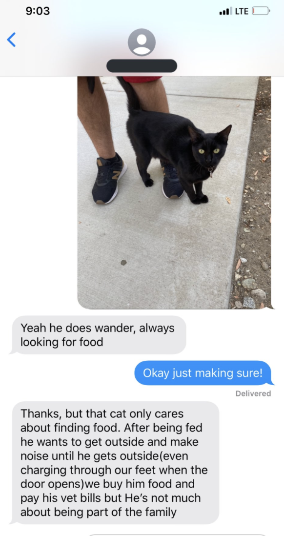 An owner bad-mouthing their cat
