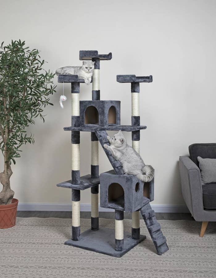 The cat tree in slate gray next to a small tree