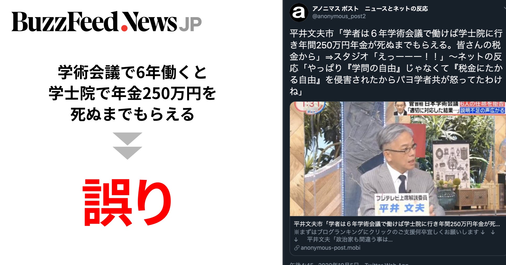 学術会議で6年働けば 学士院で死ぬまで年金250万円 は誤り フジテレビで放送 ネットで拡散