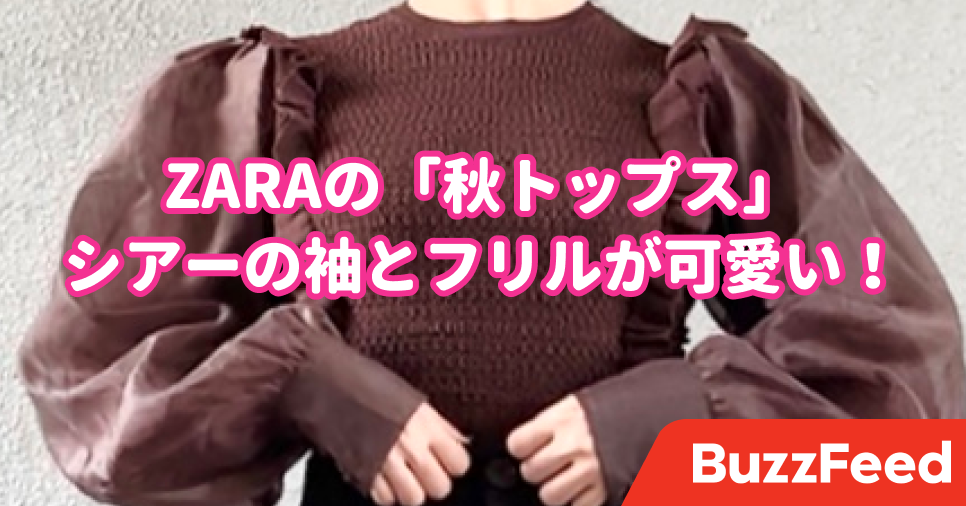 これは1万円でも買いたい Zaraの 4990円トップス かわいい要素が詰まりすぎてる