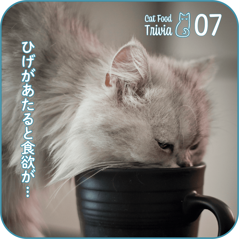 猫 食欲 ない 水 は 飲む
