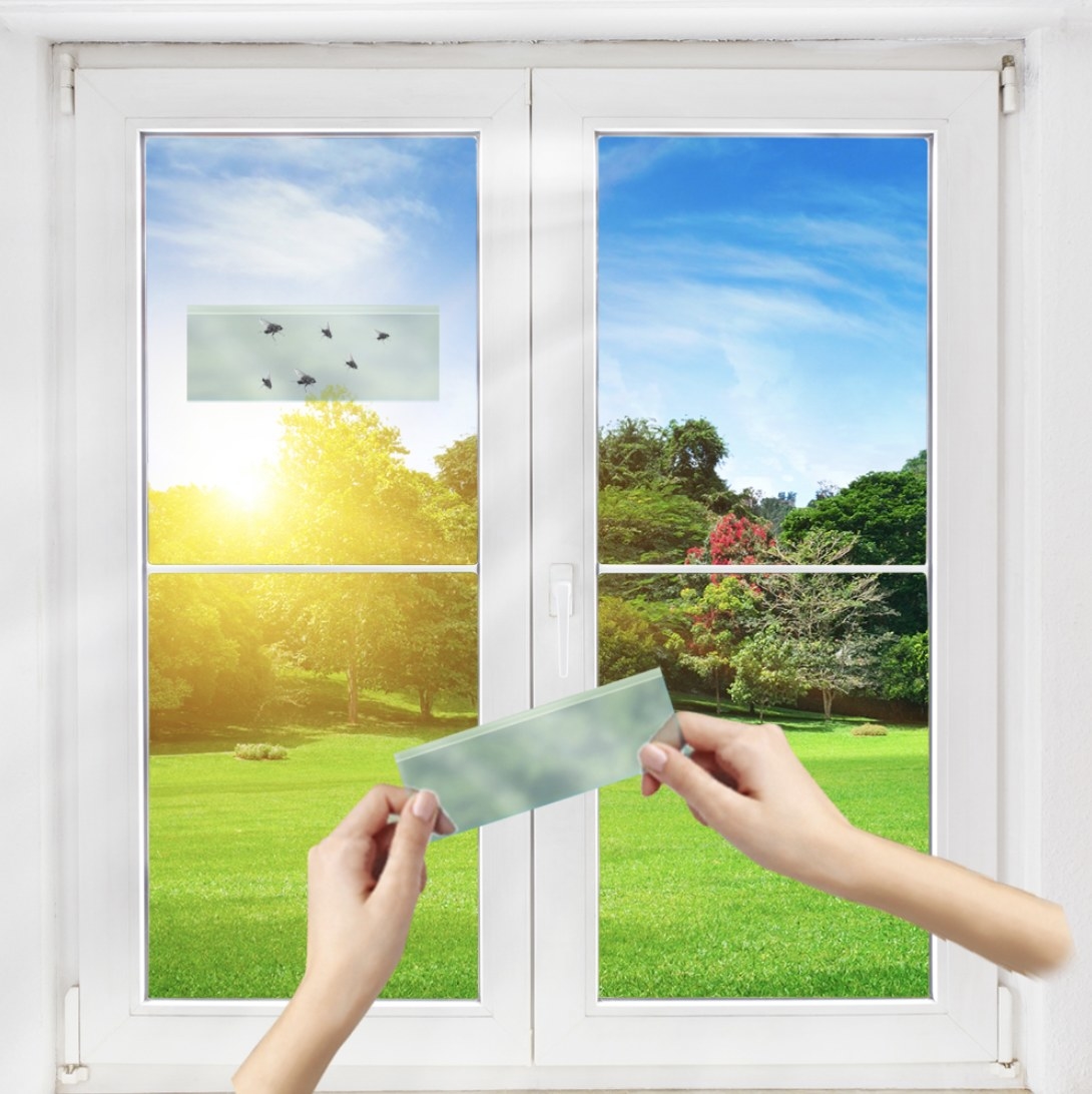 Model is holding a strip of fly trap adhesive to place on a window that has a strip on it with a few dead flies