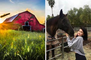 Farm and Kylie Jenner with a horse.