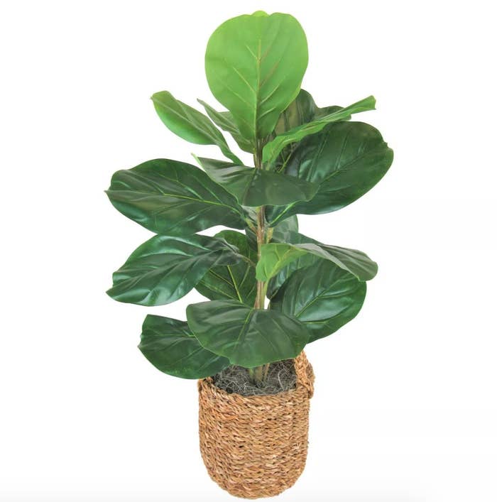 A green artificial fiddle leaf fig tree in a brown basket