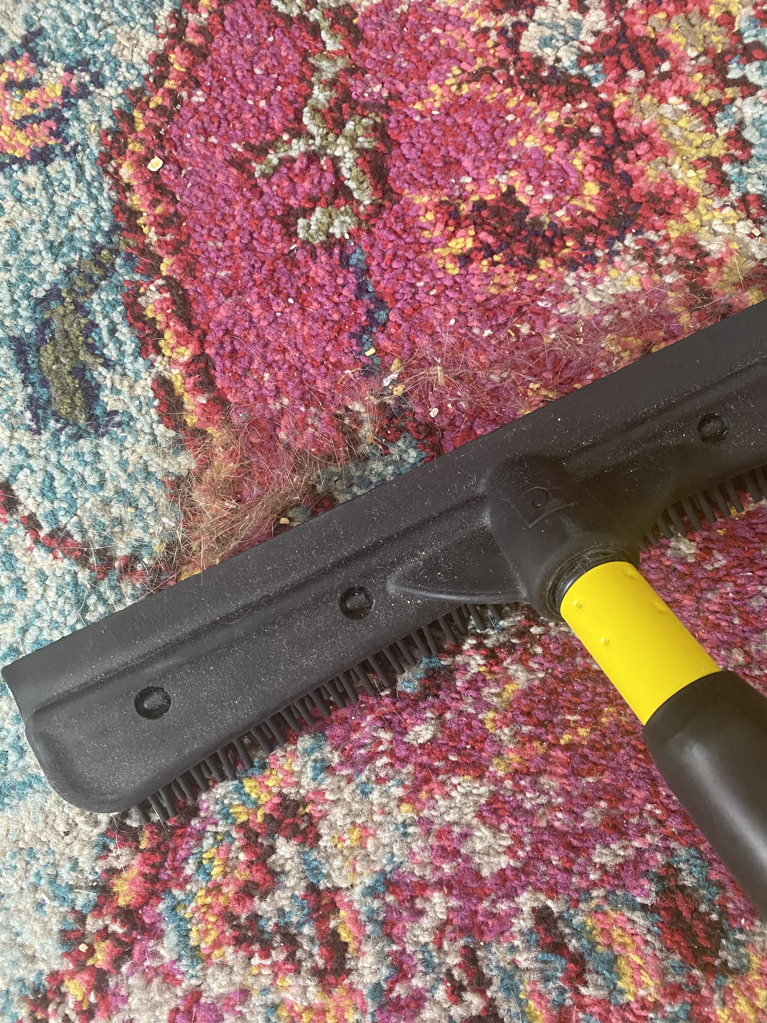 Q:Dog hair. Would this rubber broom work well on my cheap rugs? Hard to see  on 1 mat but it's there & everywhere : r/CleaningTips