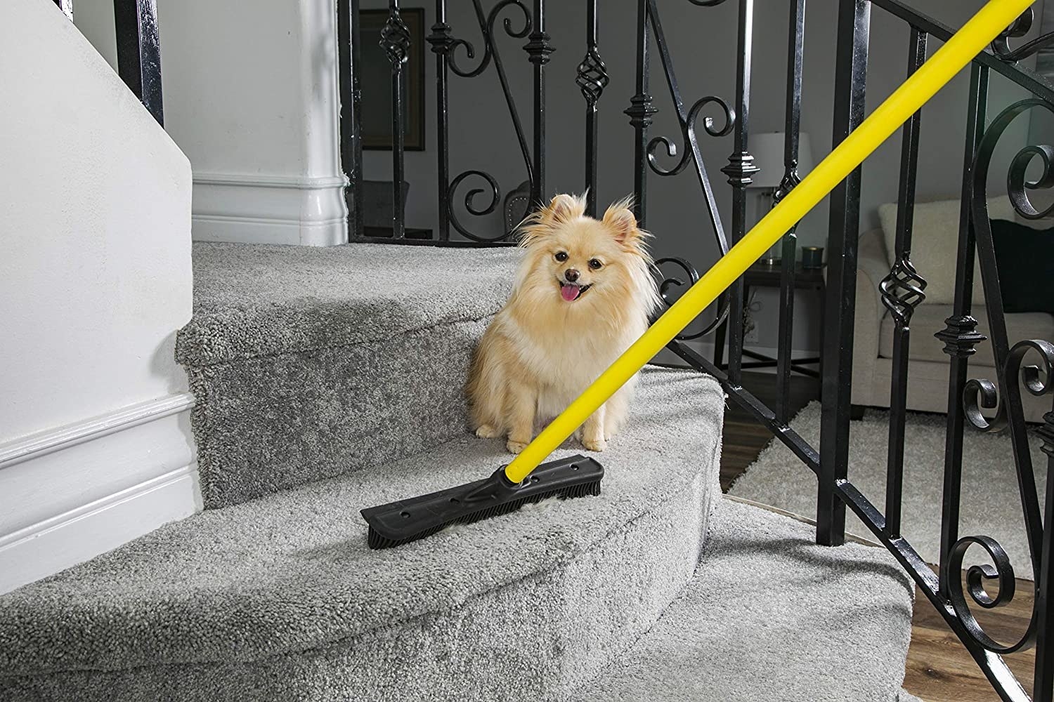 Q:Dog hair. Would this rubber broom work well on my cheap rugs? Hard to see  on 1 mat but it's there & everywhere : r/CleaningTips