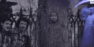 a gif of jim carrey and taran killam popping into frame in front of a tree