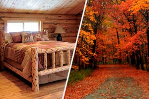 On the left, a bedroom in a log cabin with a bed made from logs with a quilt on it, and on the right, a road in a forest surrounded by trees and fall leaves