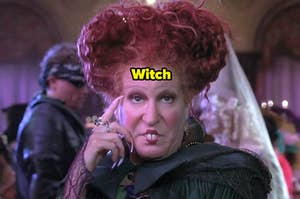 Witch bette midler from hocus pocus
