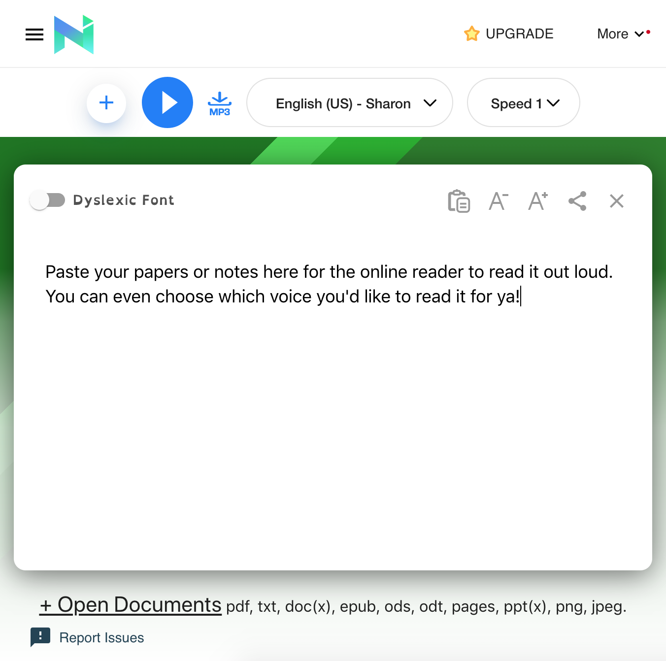 A screenshot of the text box for the online reader that says, &quot;Paste your papers or notes here for the online reader to read it out loud. You can even choose which voice you&#x27;d like to read it for ya!&quot;