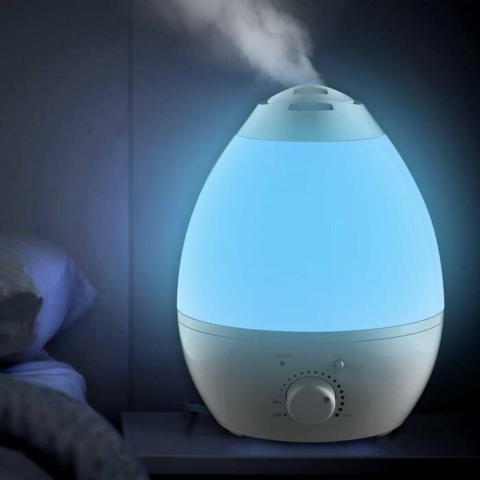 The humidifier