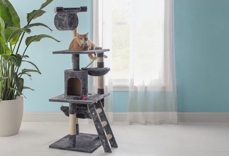 A cat condo in a room with a plant and a cat