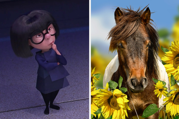 Which Animated Character Are You Based On Your Favorite Animals?