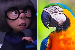 Edna from "The Incredibles" is on the left with a parrot on the right