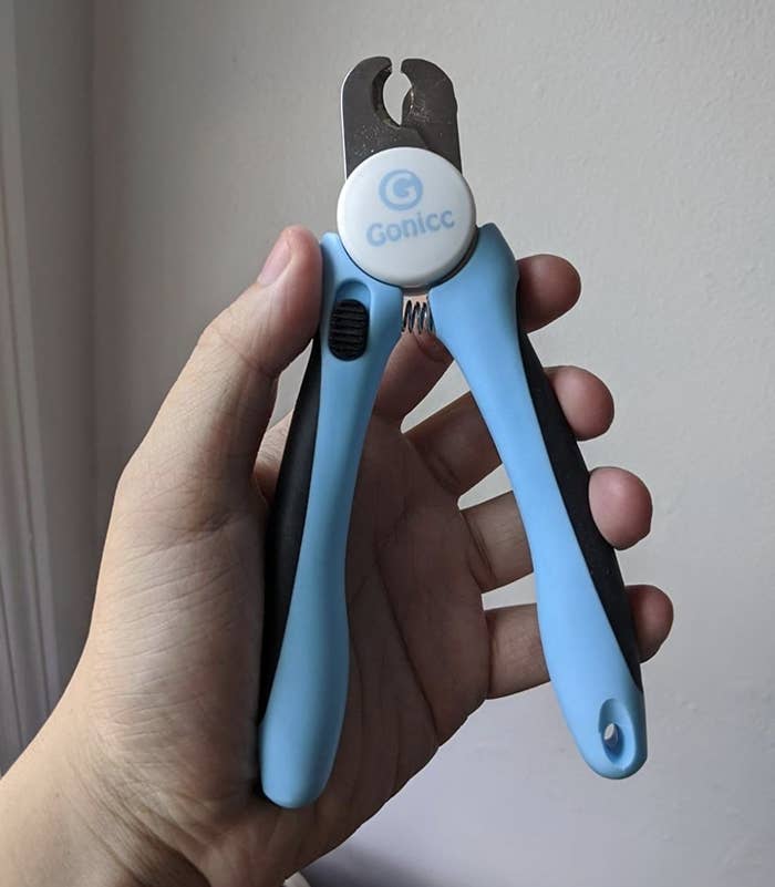 A blue and black pair of nail trimmers in a persons hand