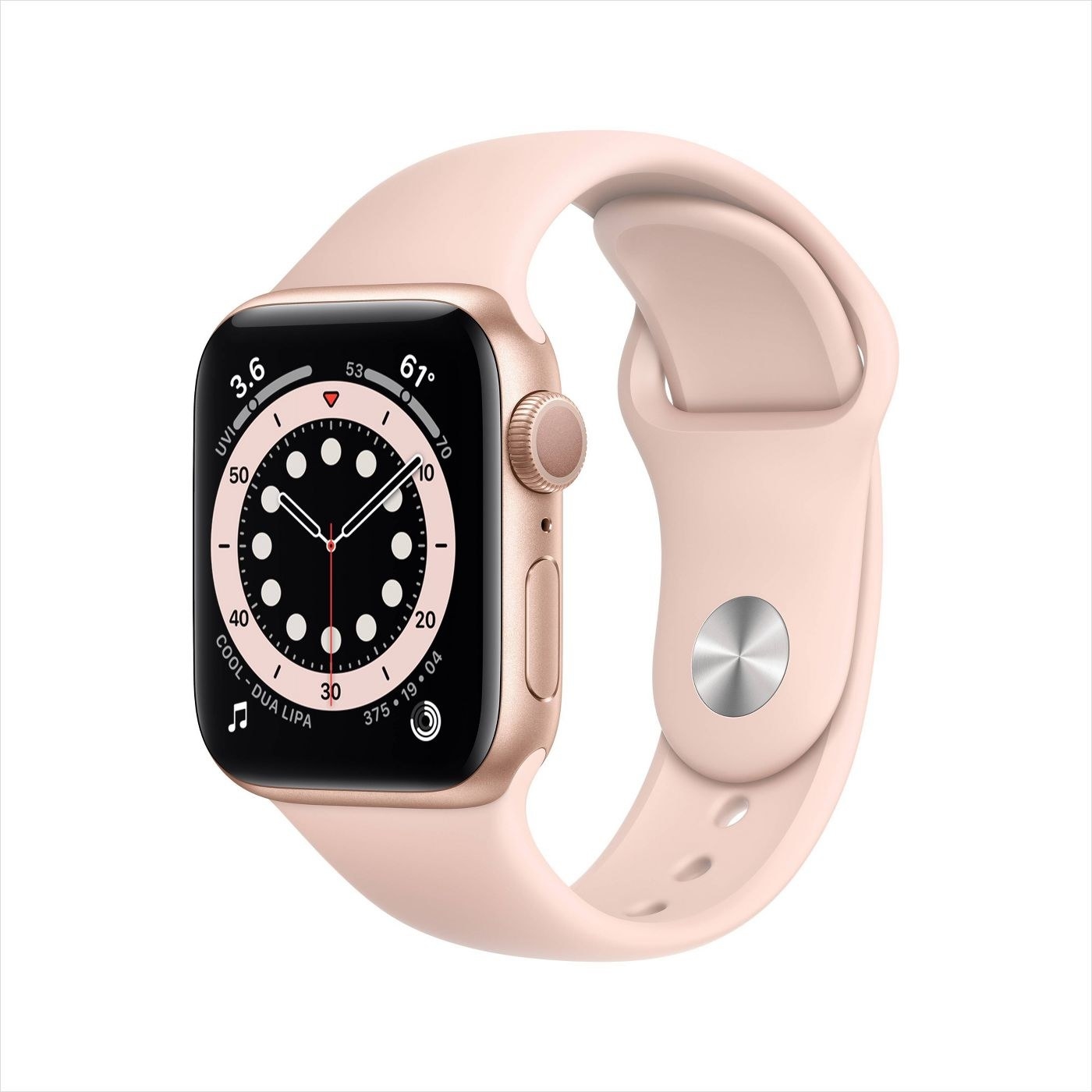 The Apple Watch