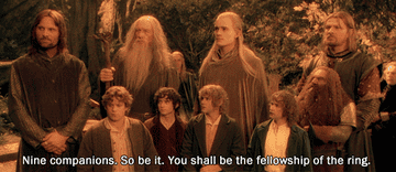 Gandalf, Aragorn, Legolas, Gimli, Boromir, Sam, Frodo, Pippin, and Merry are named the fellowship of the ring
