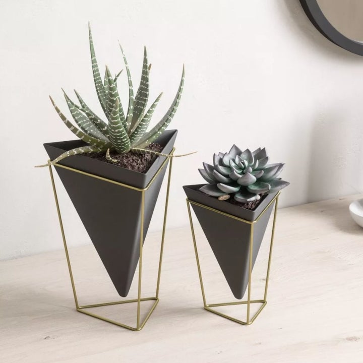 Black cone-shaped planters with gold metallic frame sitting on a desk holding succulents