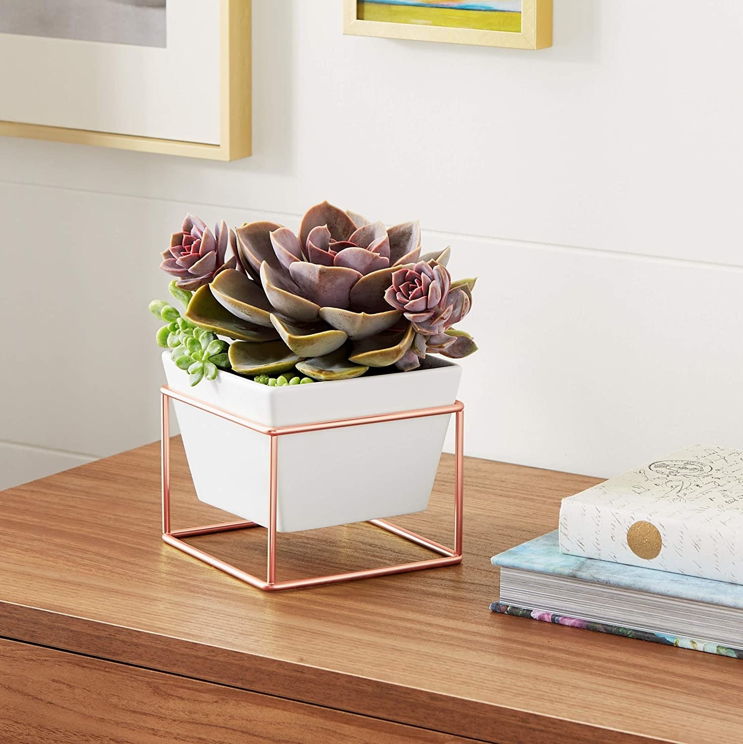 One of the planters containing a succulent on a wooden console table