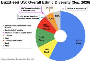 Us Racial Demographics 2020 Pie Chart Best Picture Of Chart Anyimage