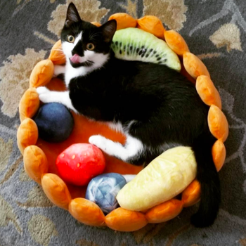 Reviewer's kitten inside bed, stretching it with its paws showing the flexibility of the product