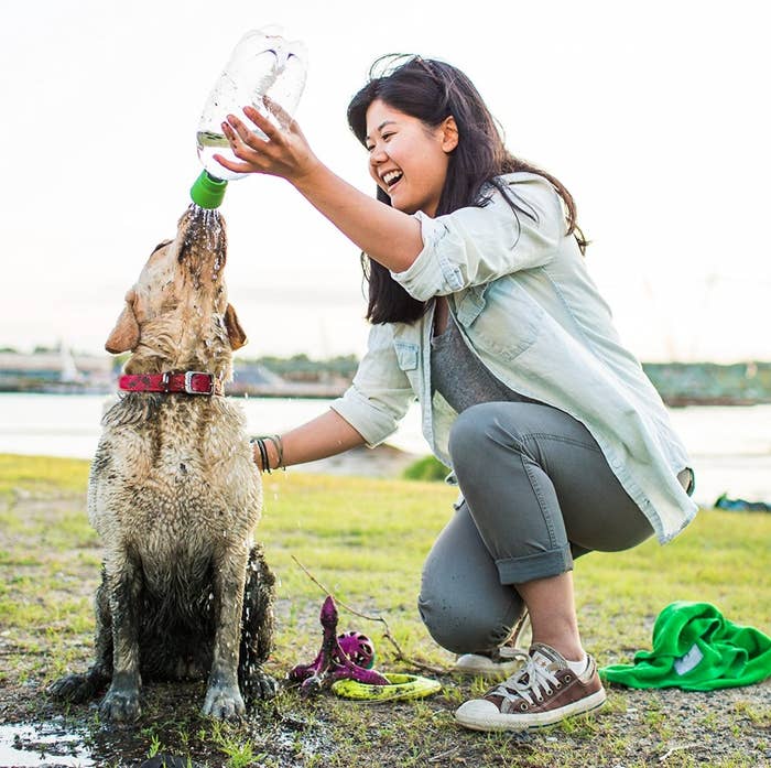 A reviewer bathing their muddy dog with the clear outdoor shower grooming tool