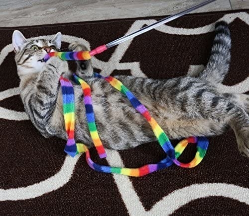 Cat playing with long, rainbow fabric teaser toy hanging from pole 