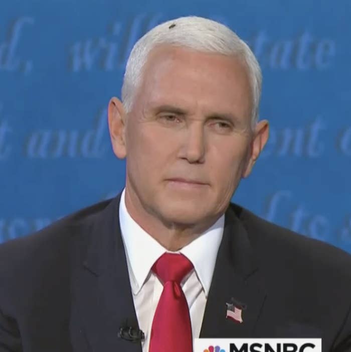 A giant fly on Pence's head