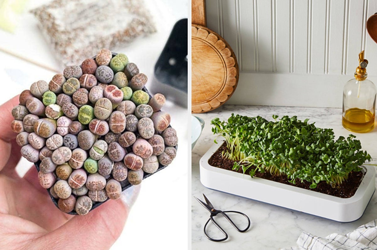 30 Gardening Kits For Your New Favorite Activity