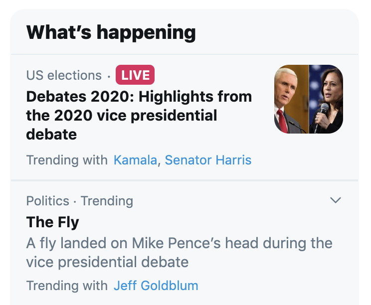 The fly trending on Twitter