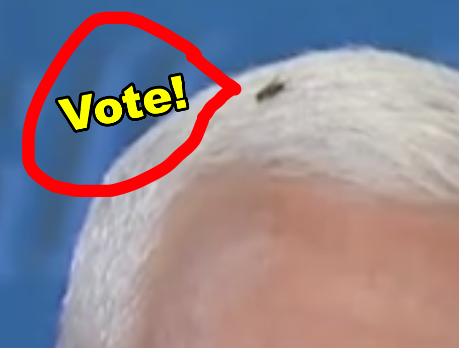 The fly telling people to vote