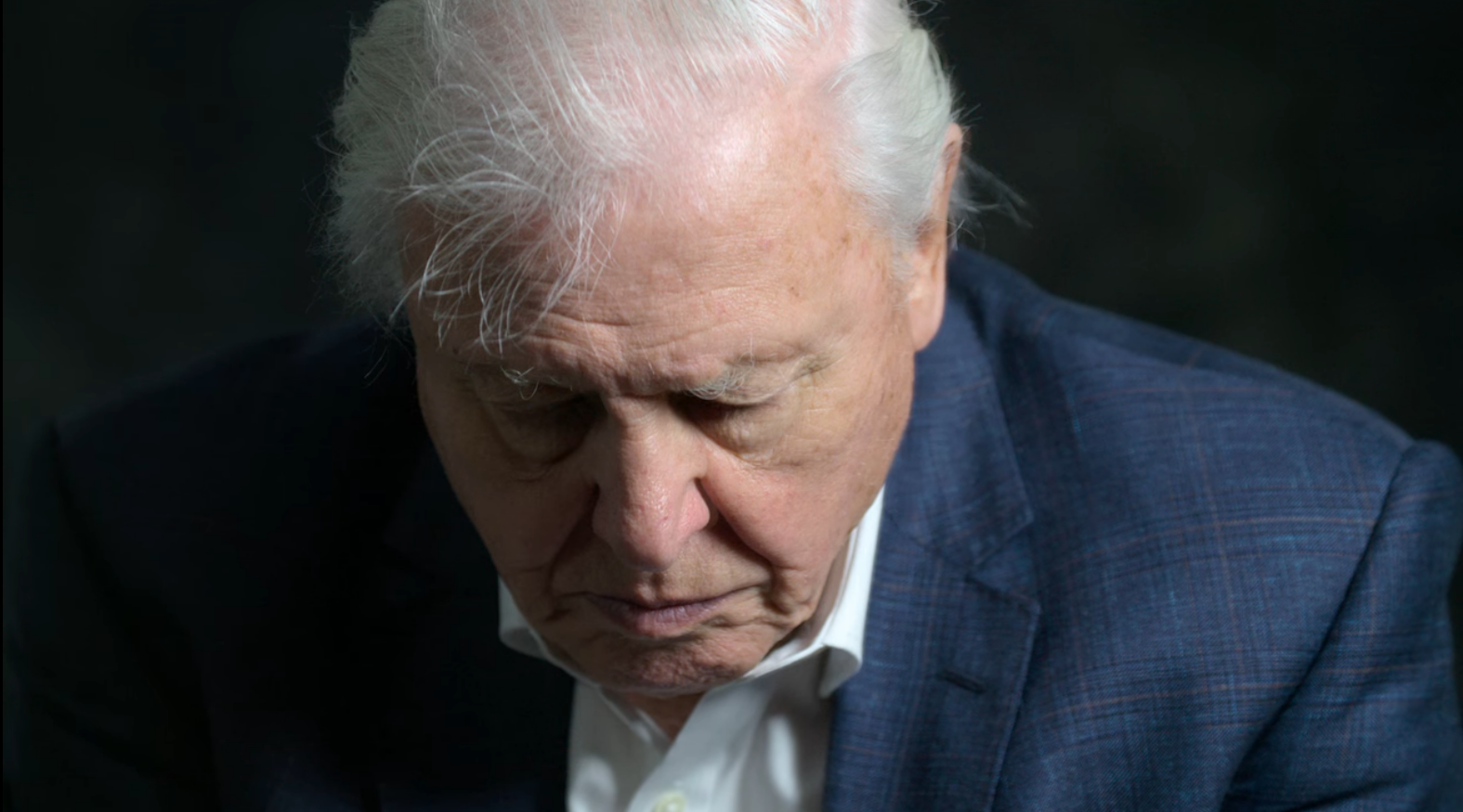 Close up of David Attenborough in the studio looking down to the floor, saddened.