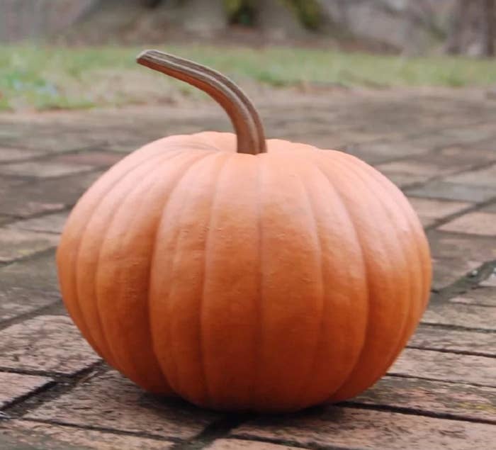 The long stem pumpkin with a resin handle