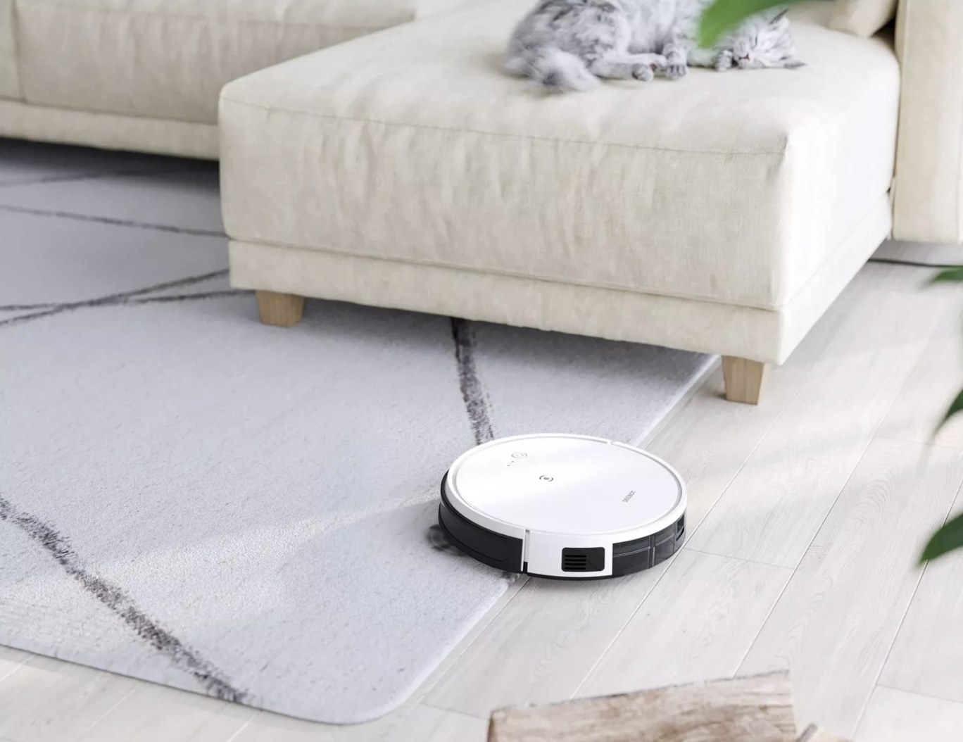 A robotic mop and vacuum cleaner in a living room