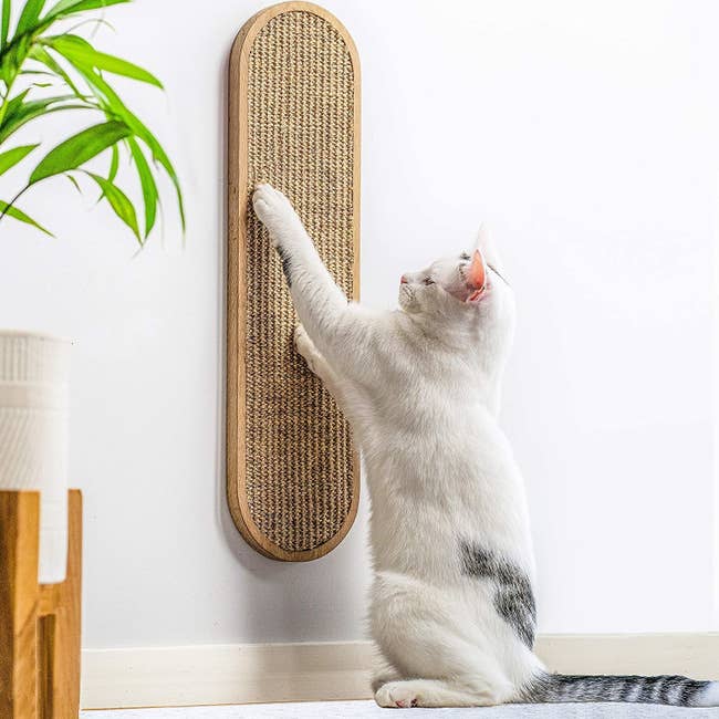 Cat stretching while scratching long oval-shaped natural fiber and wood scratcher 