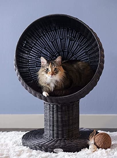 Cat inside rounded pedestal cat bed