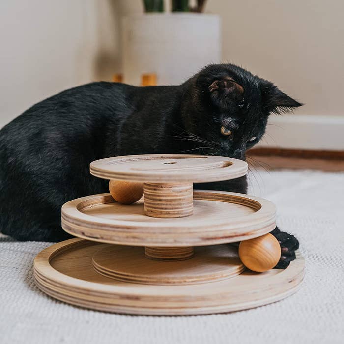 Cat playing with three-tiered ball rolling toy