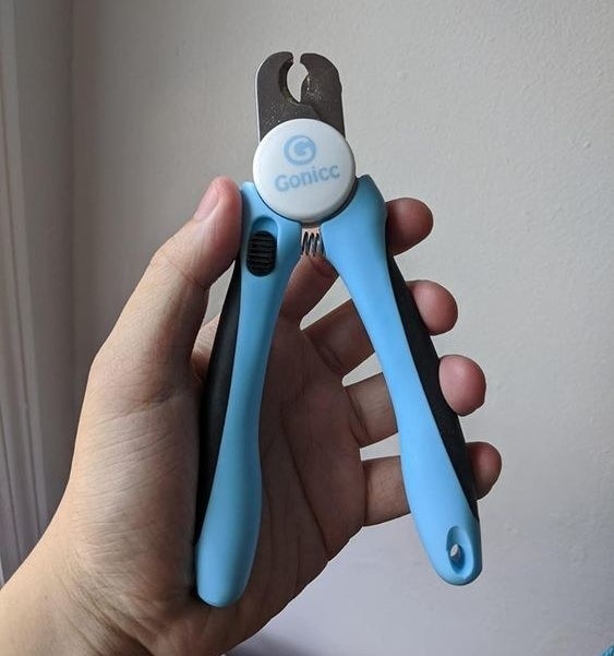 Reviewer holding the nail clippers