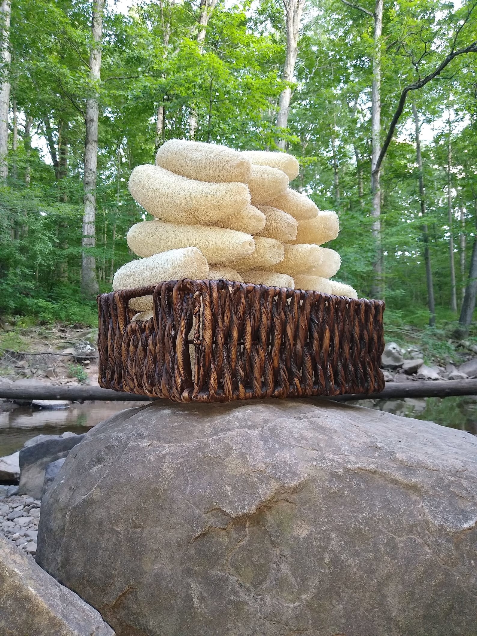 Stack of ivory colored natural loofahs in a basket outside 