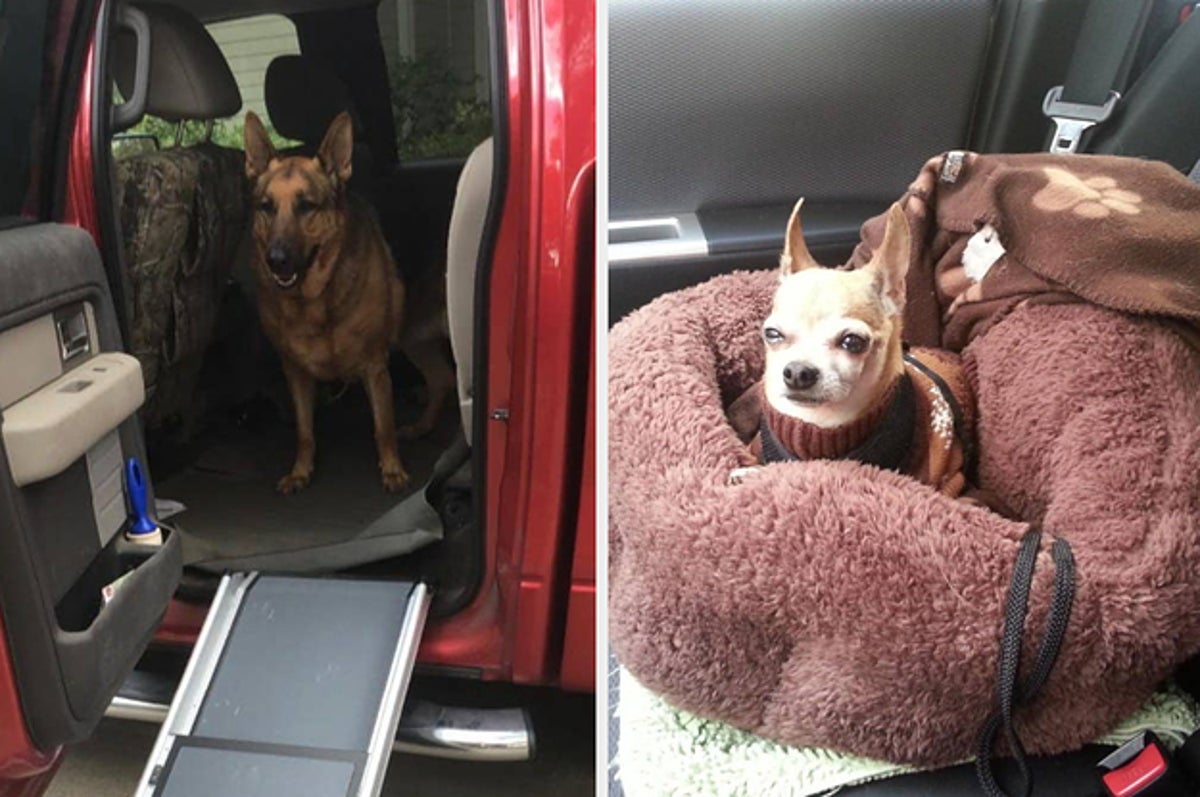 Filled Tri-fold Crate Dog Mat - M - Boots & Barkley™ : Target