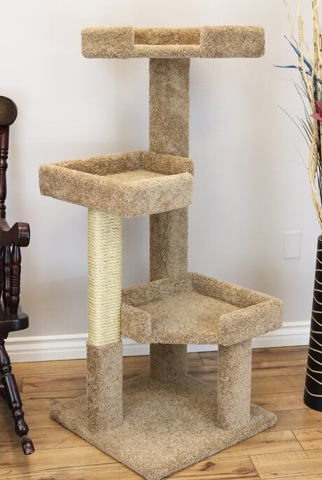 The brown cat tree