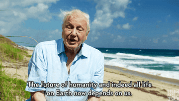 David Attenborough speaking on the beach with his hair tousling in the wind:  &quot;The future of humanity and indeed all life on Earth now depends on us.&quot;
