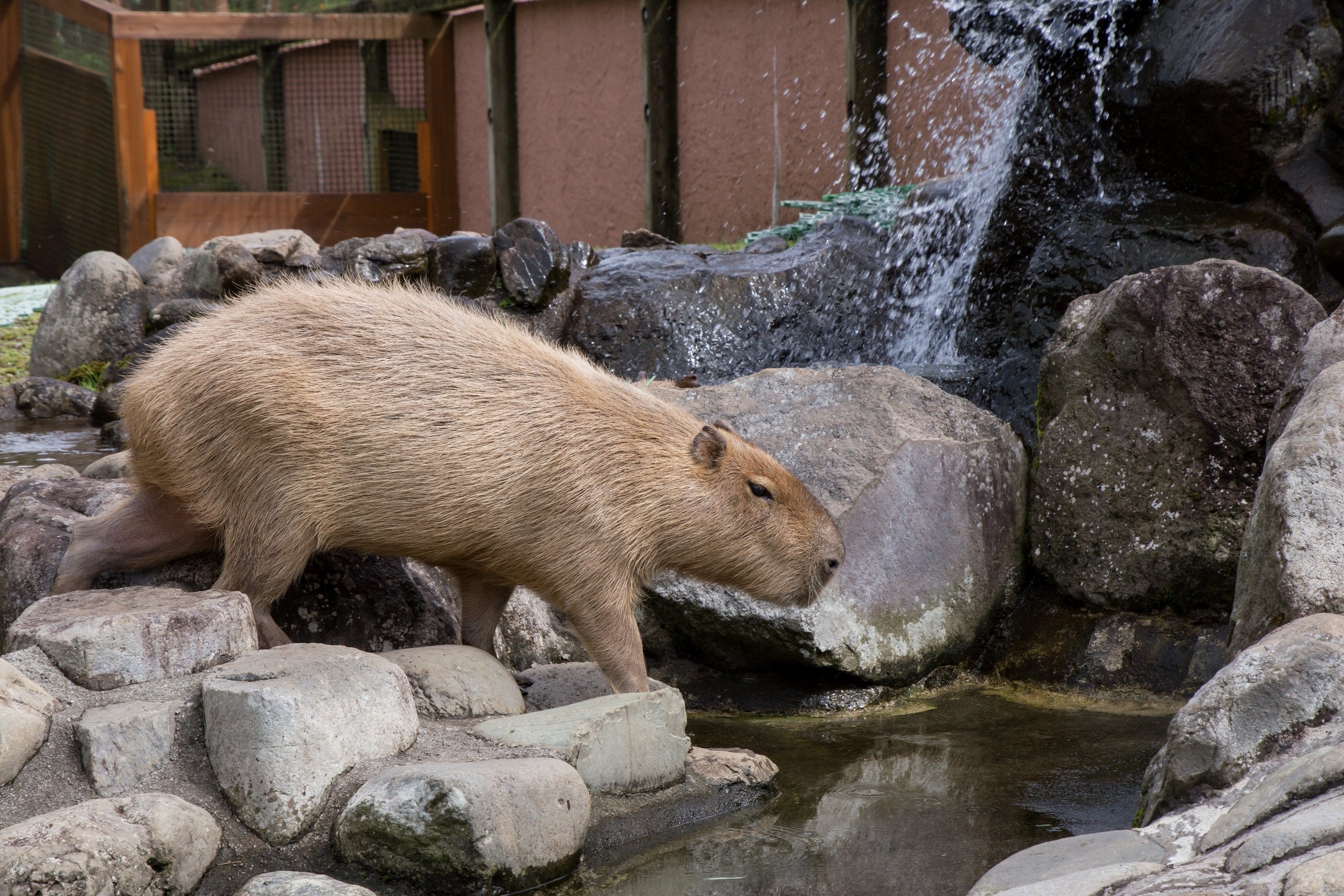 年最新版 これ大人でも絶対に楽しい 子連れの静岡観光で外さない鉄板スポット9