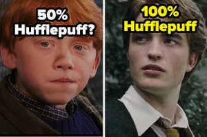 Ron is labeled, "50% Hufflepuff?" with Cedric on the right labeled, "100% Hufflepuff"