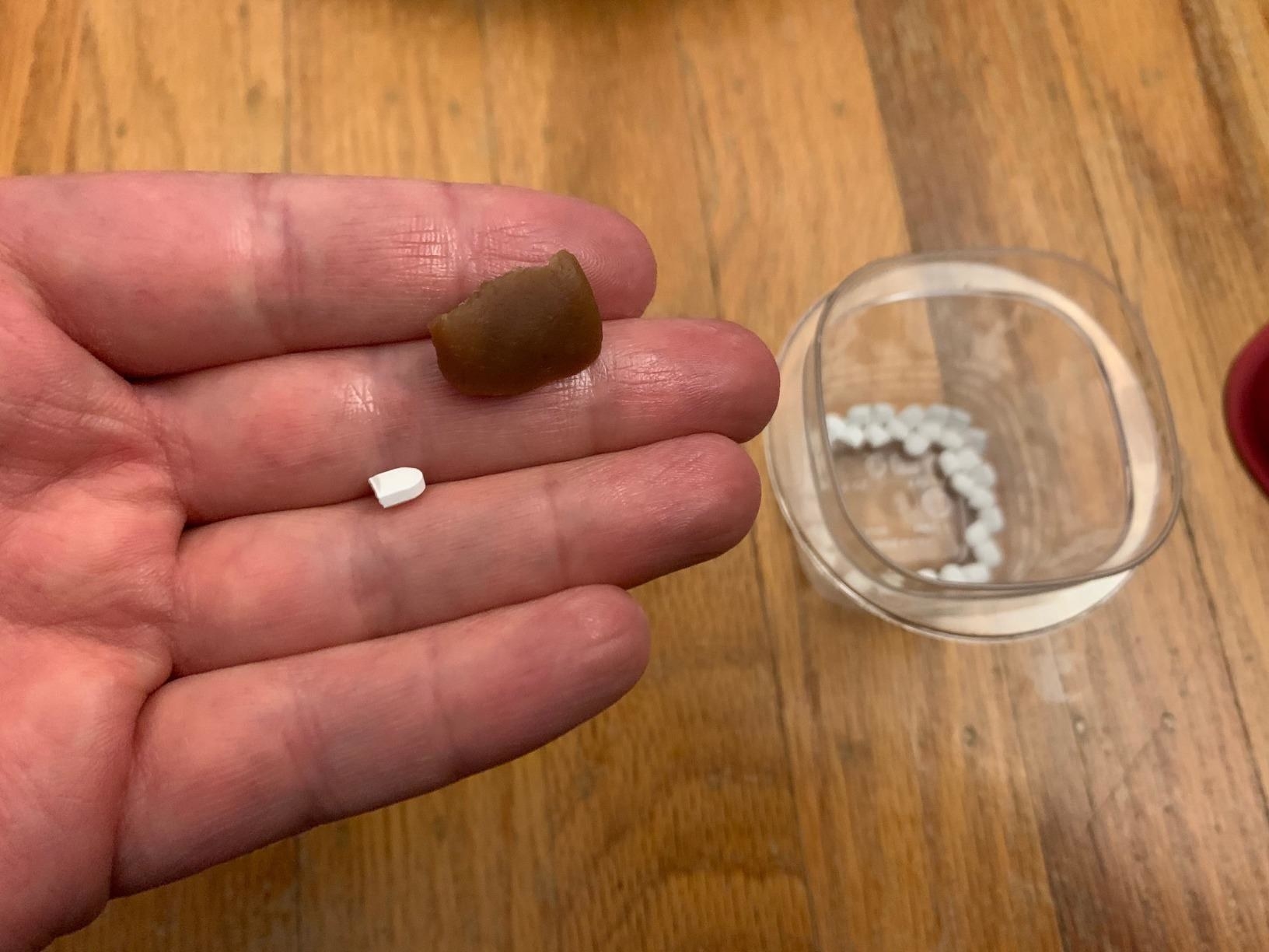 A reviewer holding a pill pocket in their hand next to a pill