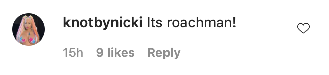 A commenter saying &quot;It&#x27;s roachman&quot;