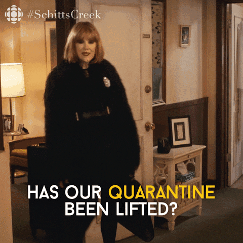 Schitt S Creek Gifs That Describe