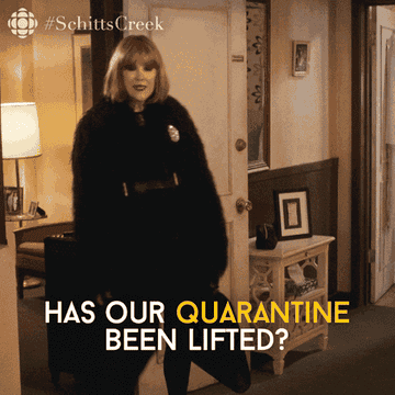 Schitt S Creek Gifs That Describe 2020 Check out all the awesome moira rose gifs on wifflegif. schitt s creek gifs that describe 2020