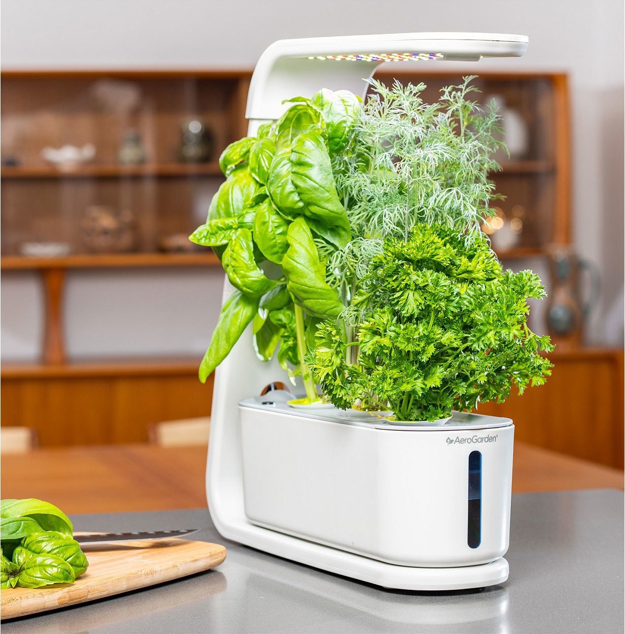 White countertop herb garden sitting on a gray counter