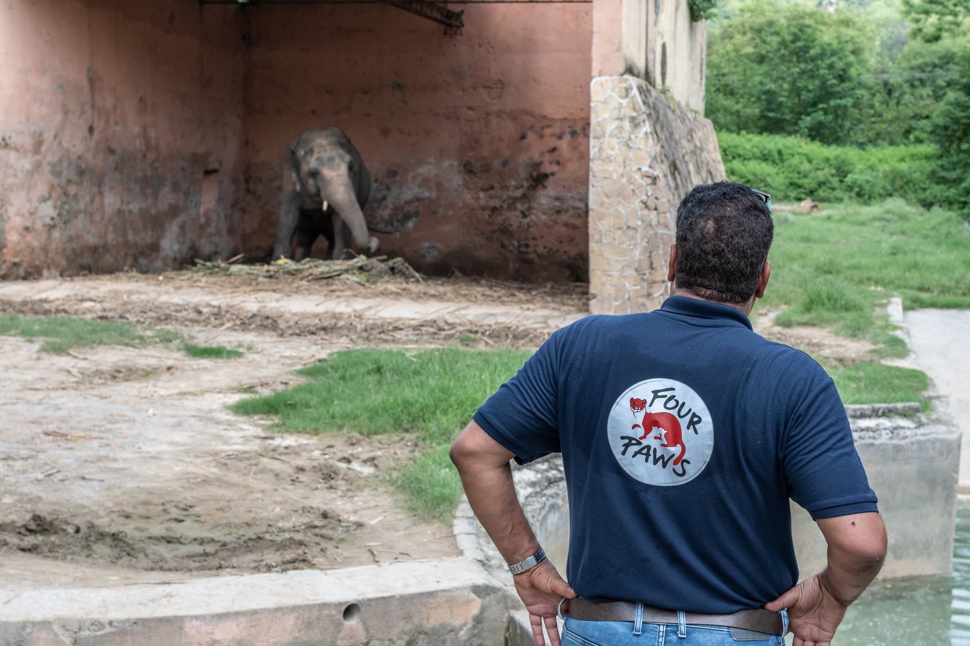 Image of Kaavan the elephant at Marghazar Zoo in Islamabad, Pakistan with his veterinarian Dr. Amir Khalil.